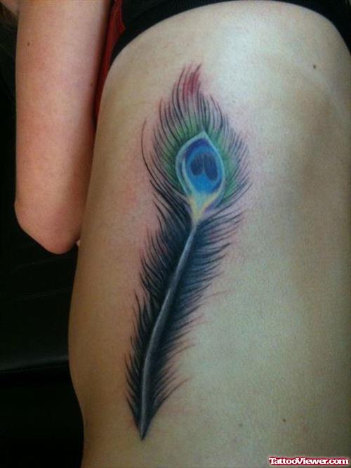 Colored Peacock Feather Tattoo On Rib