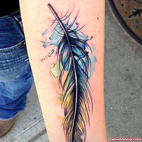 Awesome Colorful Feather Tattoo On Arm