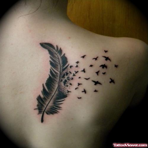 Feather And Birds Tattoo On Back