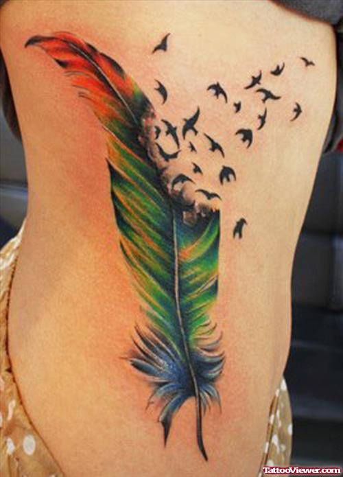 Cute Colored Feather Tattoo