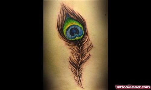 Attractive Colored Peacock Feather Tattoo