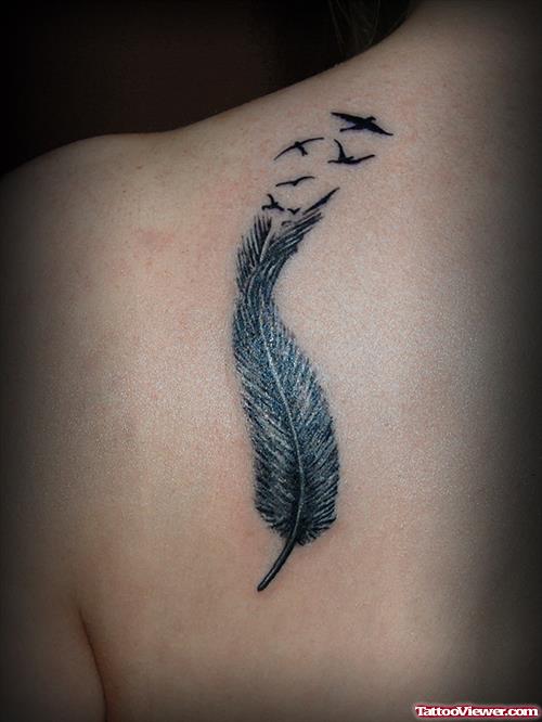 Flying Birds And Feather Tattoo On Left Back Shoulder