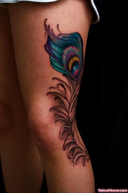 Cute Colored Peacock Feather Tattoo On Leg