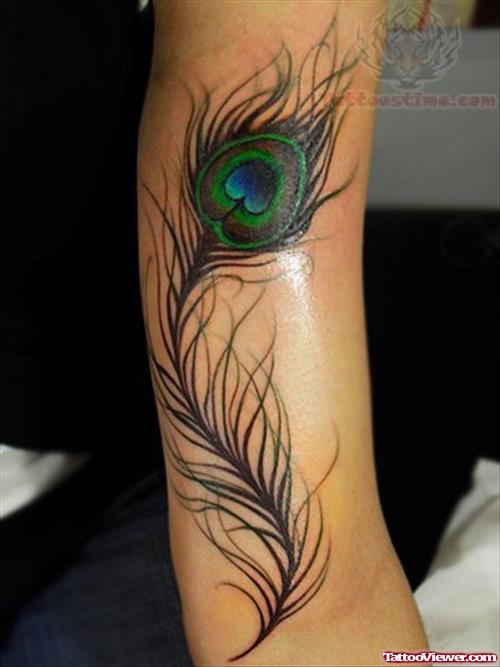Colored Peacock Feather Tattoo On Sleeve