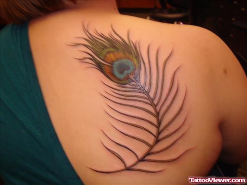 Colored Peacock Feather Tattoo On Back Shoulder