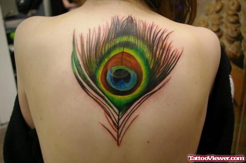 Beautiful Colored Peacock Feather Tattoo On Upperback