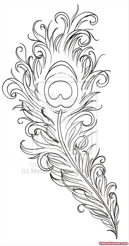 Amazing Peacock Feather Tattoo Design