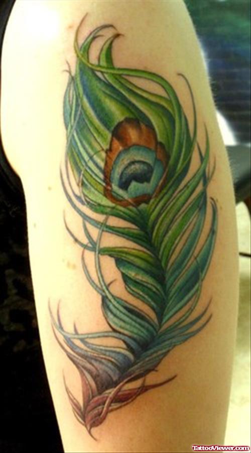 Colored Peacock Feather Tattoo On Half Sleeve