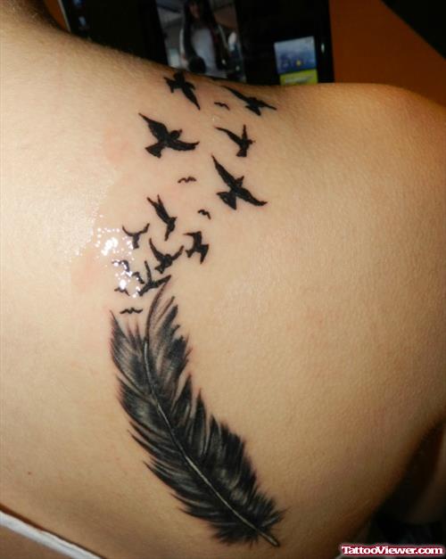 Birds Flying And Feather Tattoo On Back Shoulder