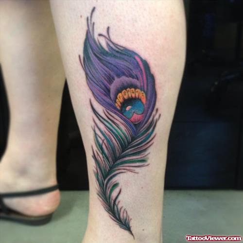 Beautiful Color Peacock Feather Tattoo On Leg