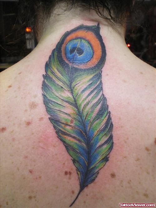 Peacock Feather Tattoo For Back