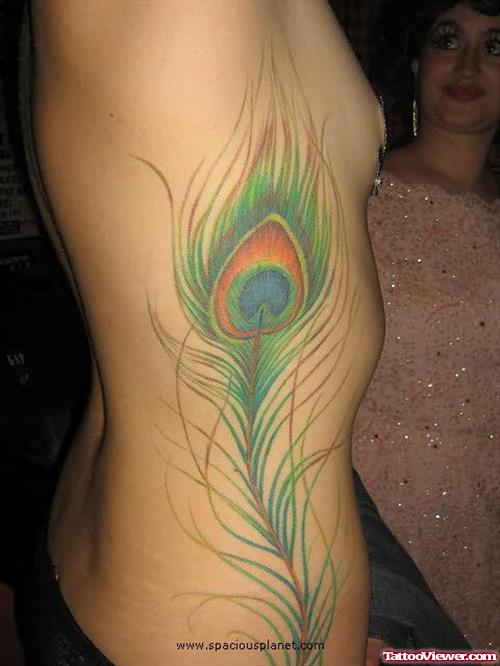 Peacock Big Feather Tattoo