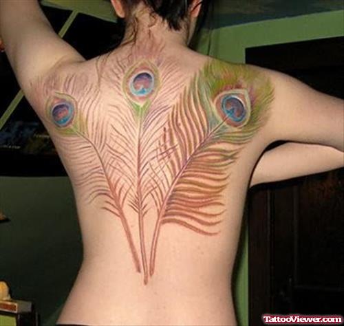 Huge Peacock Feather Tattoo on Back