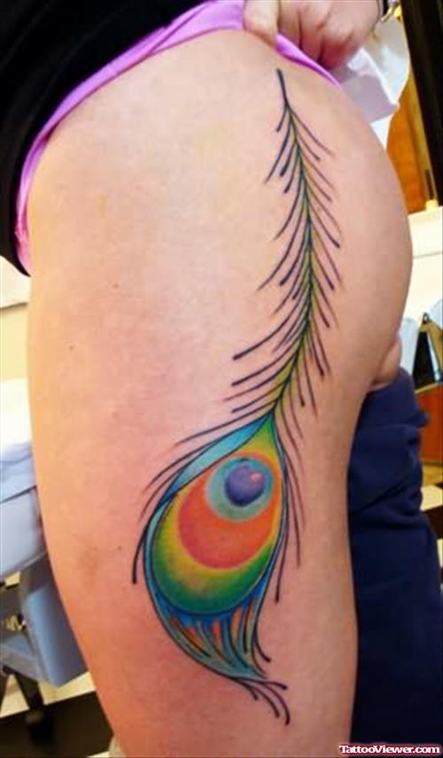 Beautiful Peacock Feather Tattoo On Muscles