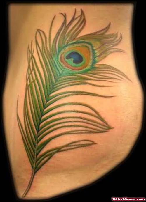 Peacock New Feather Tattoo