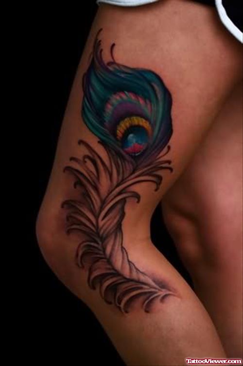 Big Peacock Feather Tattoo On Bicep