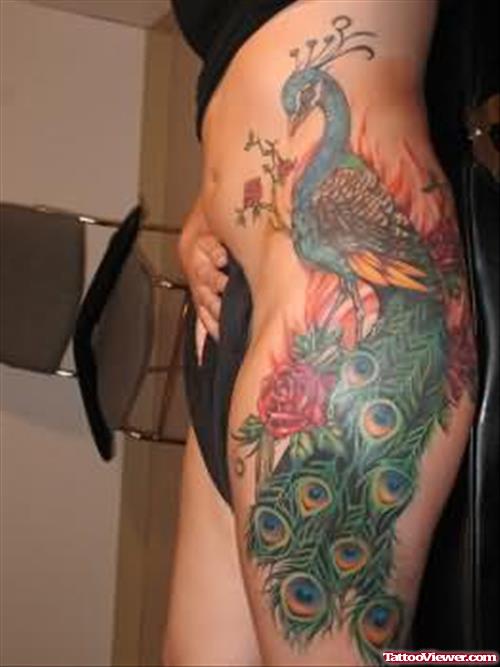 Peacock & Feathers  Tattoos