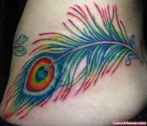 Colour Feather Peacock Tattoo