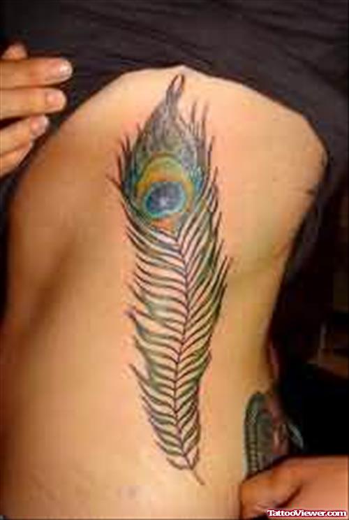 Beautiful Feather Tattoo On Side Rib