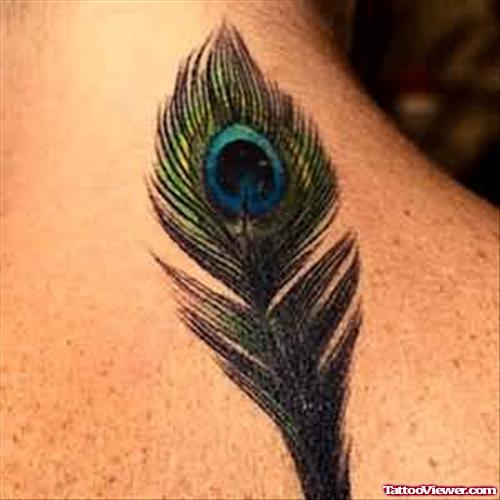 A Peacock Feather Tattoo