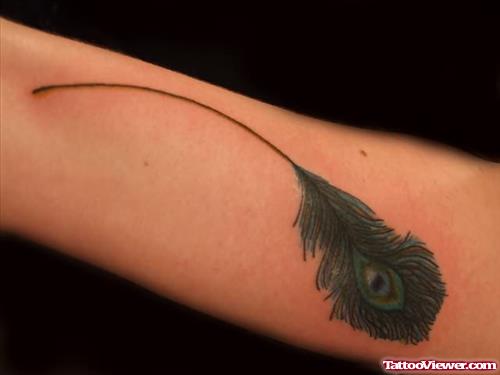 Peacock Green Feather Tattoo