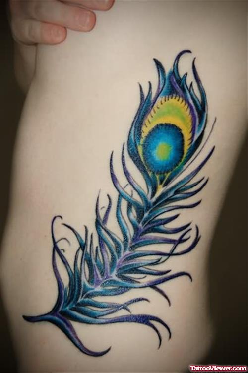 Peacock Feather Tattoo For Ribs