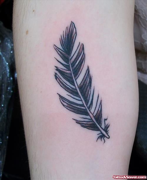 Cute Feather Tattoo On Arm