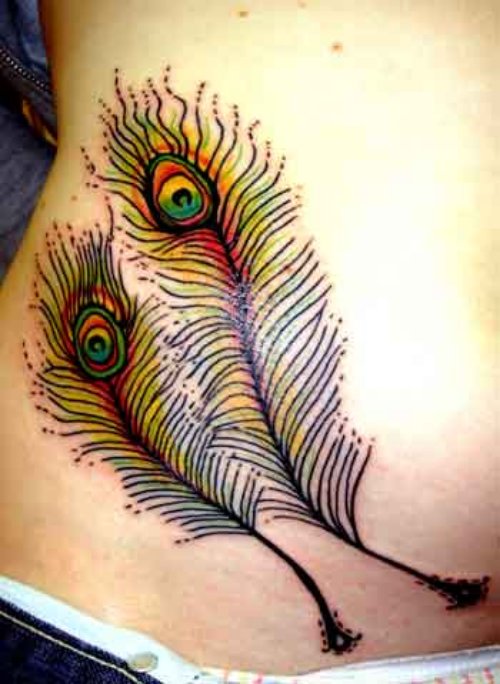 Peacock Feathers Tattoo On Rib