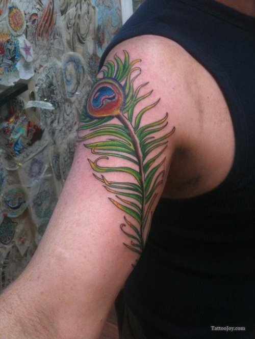 Colored Peacock Feather Tattoo On Shoulder