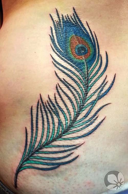 New Colored Peacock Feather Tattoo