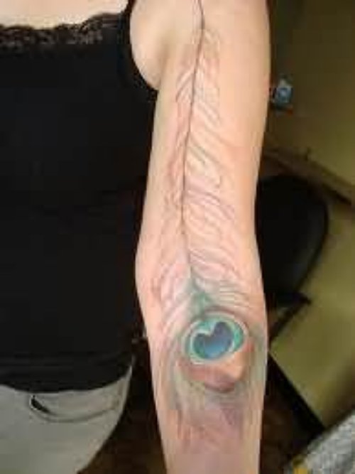 Awesome Feather Tattoo On Arm