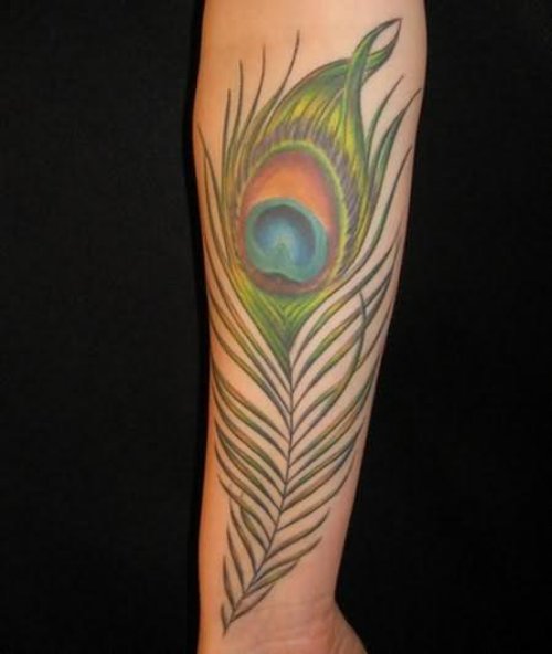 Peacock Feather Tattoo On Biceps
