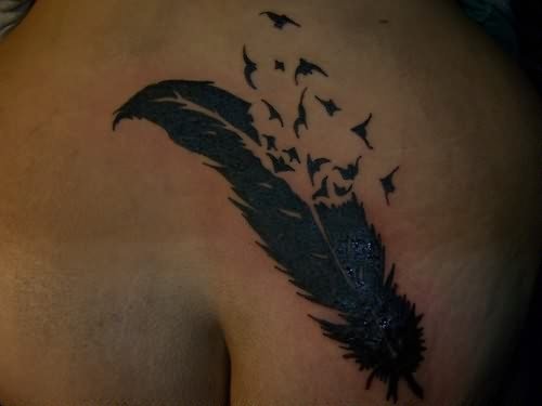 Birds Flying from Black Feather