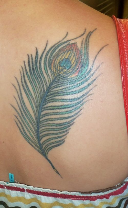 Crazy Colored Peacock Feather Tattoo On Right Back Shoulder