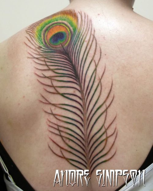 Peacock Beautiful Feather Tattoo