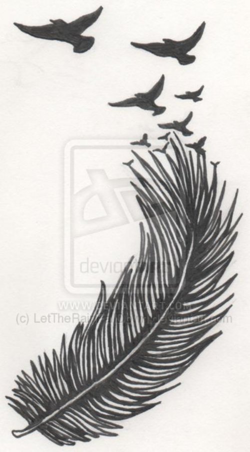 Latest Flying Birds And Feather Tattoo Design