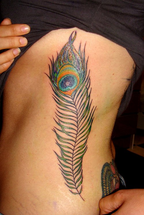 Colored Peacock Feather Tattoo On Rib Side