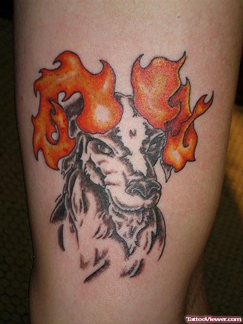 Fire n Flame Bull Head Tattoo