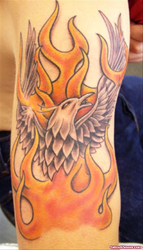 Flying Bird In Fire and Flame Tattoo On Half Sleeve