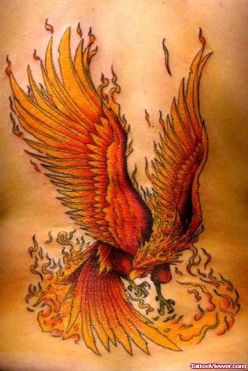 Phoenix Fire n Flame Tattoo On Back