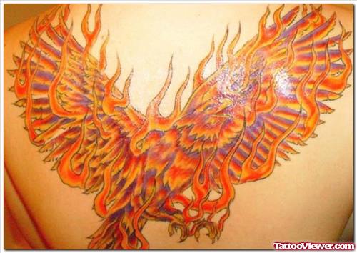 Fire Flame Phoenix Tattoo On Back
