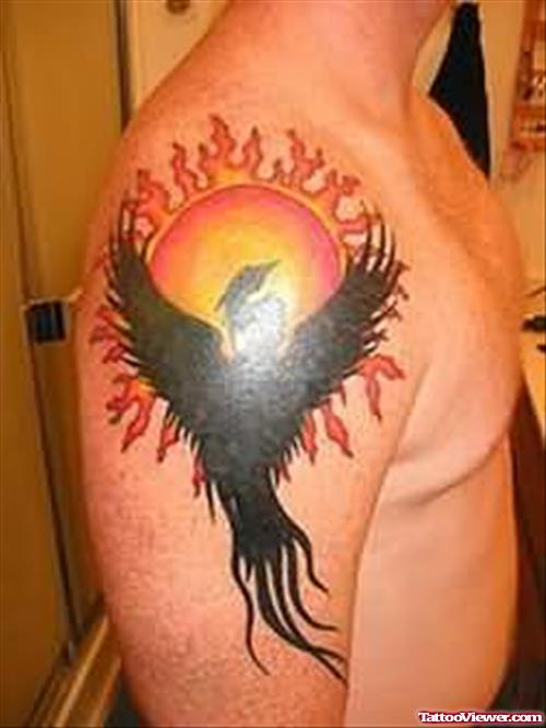Phoenix Bird Flame Tattoo Designs