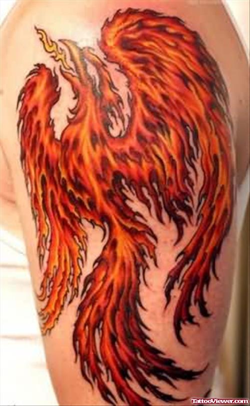 Flaming Bird Tattoo On Body