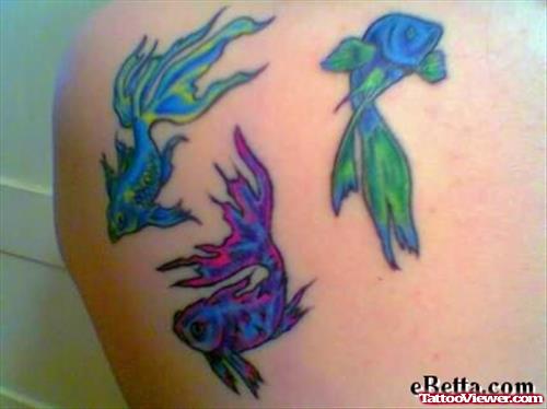 Colourful  Fish Tattoos For Body