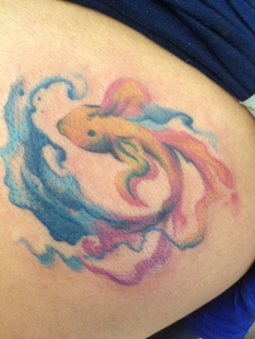 Colorful Fish Tattoo On Back Shoulder