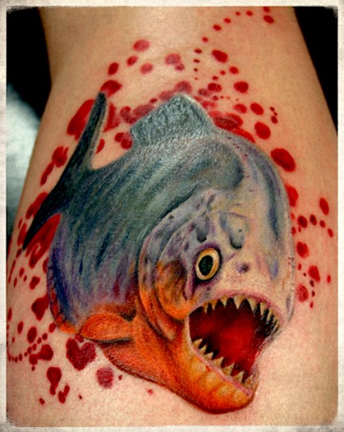 Color Ink Fish Tattoo On Back Leg