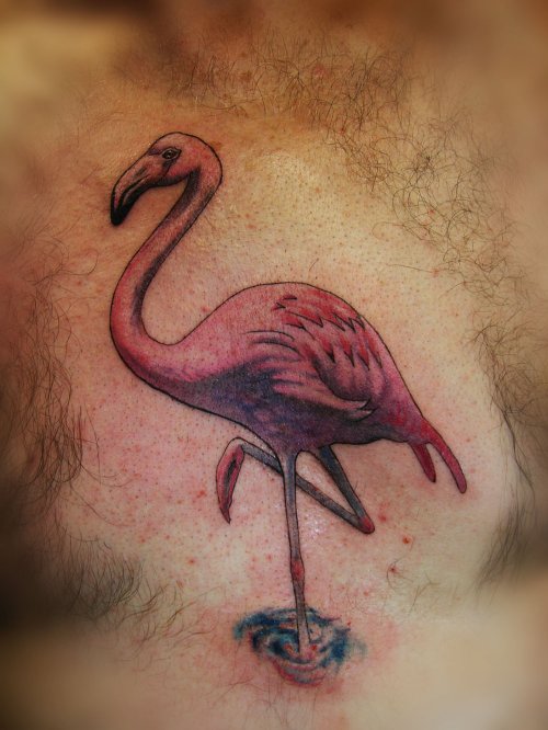 Flamingo Tattoo On Man Chest
