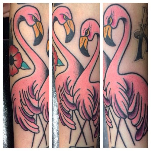 Pink Flamingo Tattoos On sleeve