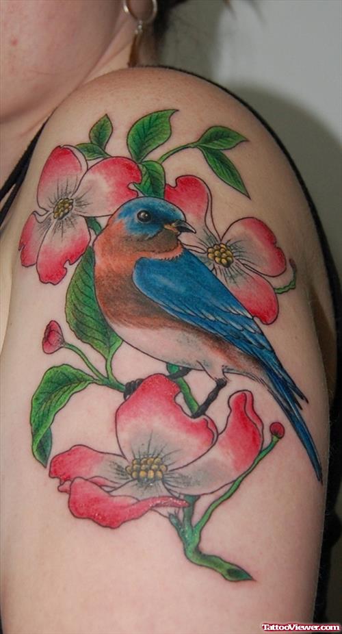 Colored Bird and Flower Tattoos On Left Half Sleeve