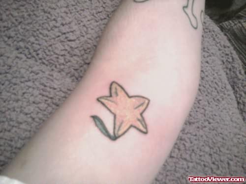 tumblir Flower Star Tattoo